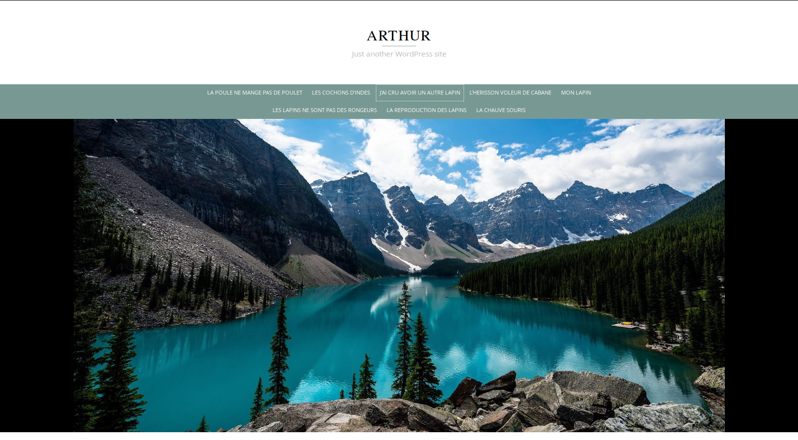 Mars 2019 – Atelier WordPress avec le groupe  Découverte